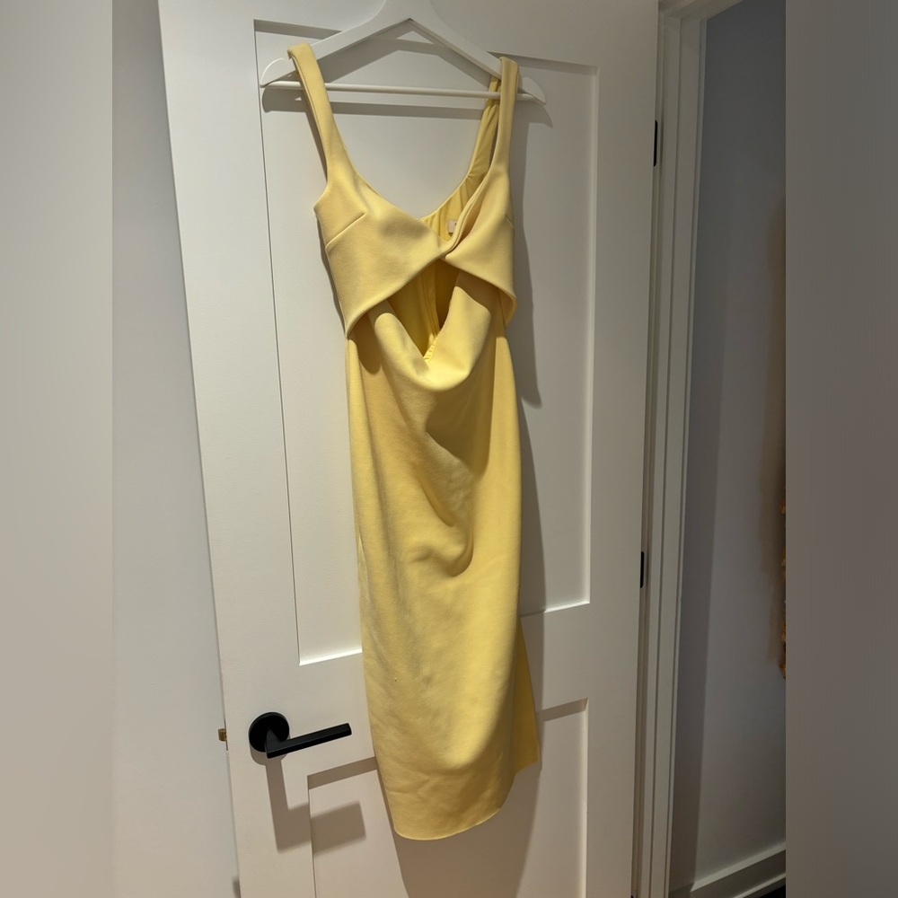Bec & Bridge Dress